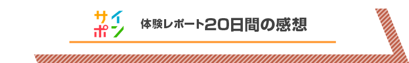 目標達成法